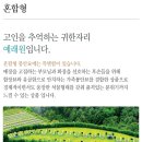 탑동석물 네이버블로그