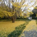 가양한의원 이미지