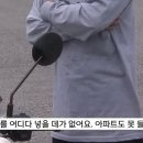캠핑마인드