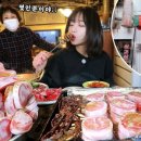 상록수집 이미지