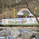 하소생활체육공원 유아숲 이미지