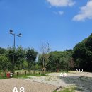 버드나무캠핑장 이미지