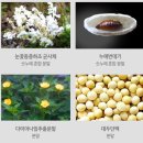 (사)한국양잠연합회