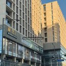 라이프약국 | 하남 대형약국 오픈 파마스퀘어 창고형약국 방문후기