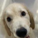 대전종합동물병원 이미지