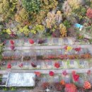 야영장(1) 이미지