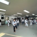 용인대삼일태권도 이미지