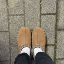 260 | 남자 어그 타스만 260사이즈 후기 사이즈추천