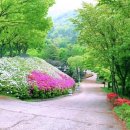 느린하루 이미지