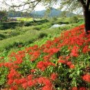 불갑보건지소 이미지