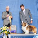 여주-0898 이미지