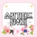 소변기패드 탈취제 방향제 남자화장실 소변기 냄새 걱정 끝
