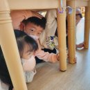 금광초병설유치원 이미지