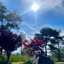 광양컨트리클럽 골프연습장 이미지