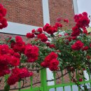 산호동266 | 창원 용호동 석쇠불고기와 소국밥 맛집 언양각식당 후기