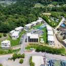 모모애견 이미지