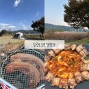 다함오토 | 경북 칠곡군 | 칠곡보오토캠핑장, 갈대밭뷰 할로윈캠 다녀온 늦은 기록