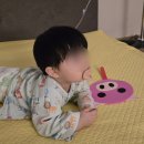 GS25장존청솔 | 세종 아름드리나무 어린이 병원 입원 후기 (사진없음)