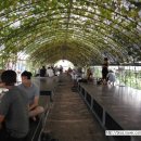 성구농장 이미지