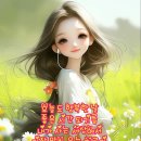 오복 Daum카페