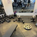 프리원핏 부천점 | 부천24시헬스장 프리원핏 부천 신중동점, 무인 헬스장 내돈내산