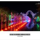 르미에르 이미지