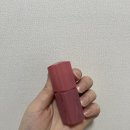 원피그 | 내돈내산 팁토우 글로윗 소르베 틴트 106 원바이트 피그 솔직 후기 🍑 봄웜한테 찰떡인 차분한 립