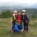 제주서초등학교 이미지