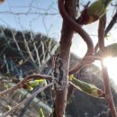 문경시농업기술센터 이미지