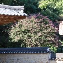 모명재 관광안내소 이미지