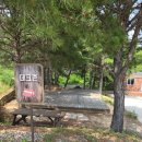 화진농장 | [포항 캠핑장 추천] 비손농장 캠핑장, 숲·바다·동물농장까지 다 있는 올인원 힐링 캠핑장! ⛺🐰🌲