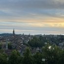 장미파크 이미지