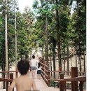 정남진테마숲 이미지