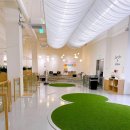 삼성애견 이미지