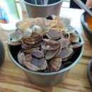 화정칼국수 이미지