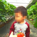 해피트리어린이집 이미지