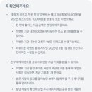 꽃돼지가 티스토리