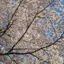 구룡포 초등학교 이미지