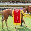 우승축산 이미지