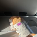 D00060 | D+62 당게티(Dhangethi) 섬에서 일몰