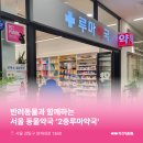 2층루마약국 이미지