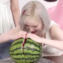 2025년 비비지 활동 결산이벤트 중간결산(릴레이퀴즈+연습퀴즈) 이미지