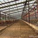 희망축산농장 이미지
