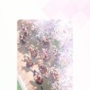 (주)리치게임즈 이미지