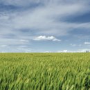 카매니저 이미지