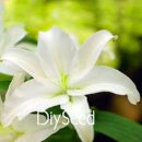 역삼역센트럴푸르지오공인중개사사무소 이미지