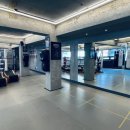 팀 드래곤 이미지