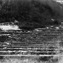 묵계교회 옆 이미지