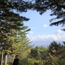 한라산을바라보는쉼터 이미지