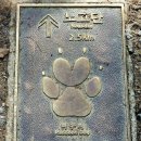 《 노고단에서 》 25.10.23 이미지